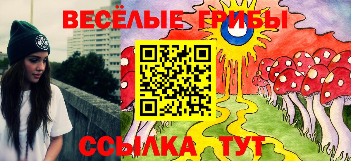 Псилоцибиновые грибы GOLDEN TEACHER Ишим