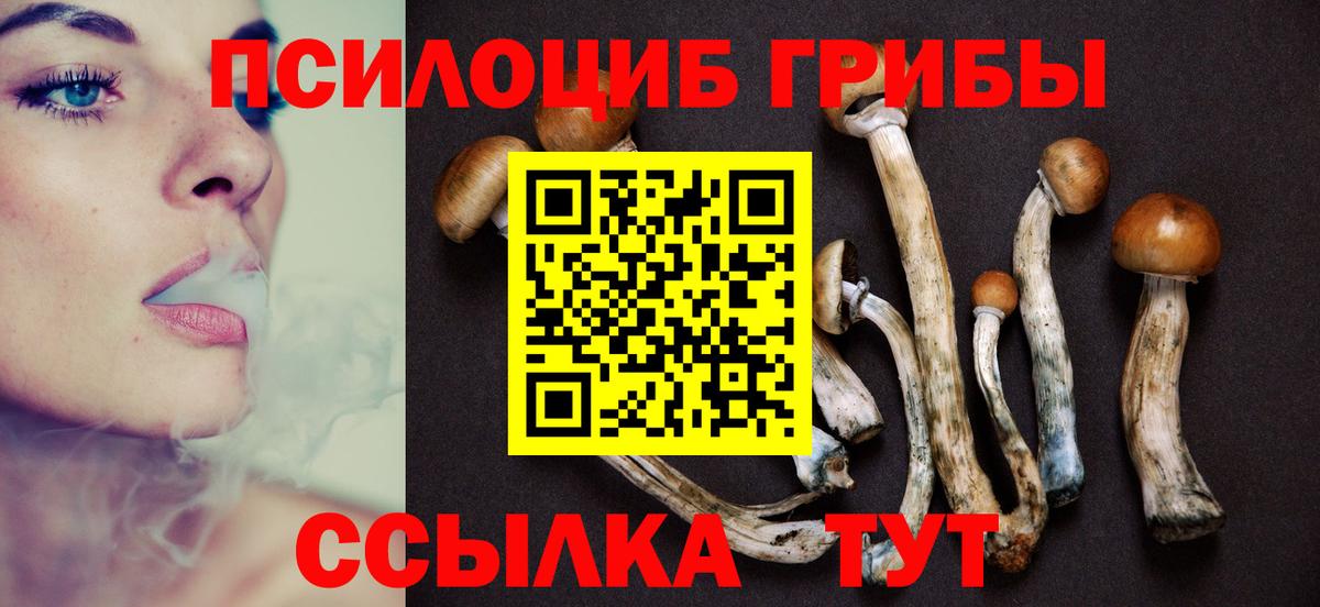 Галлюциногенные грибы MAGIC MUSHROOMS  Вход с VPN  Ишим  Галлюциногенные грибы GOLDEN TEACHER 